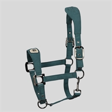 Cavallo CavalPawewel Grime 