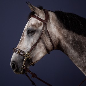 Dyon Hackamore trense US Jumping Collection