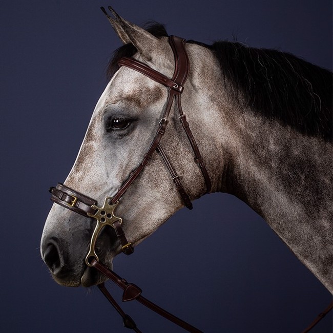 Dyon Hackamore trense US Jumping Collection