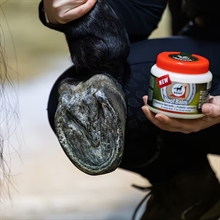 Leovet Hovbalsam Prebiotic