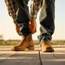 Ariat Hybrid Low Boy Mande model