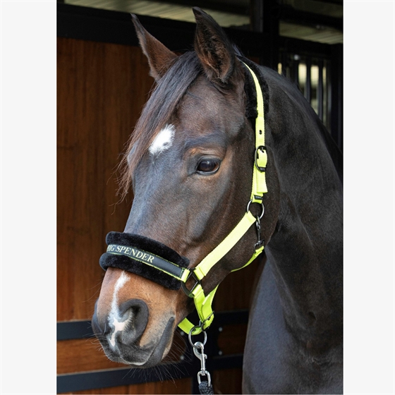 Harry\'s Horse grime Lyrics Quotes 