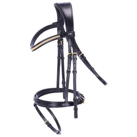 Black/Gold