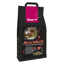 Pavo Musclebuild 3 kg refill 
