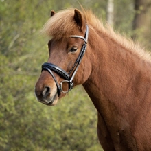 BR Islændertrense Barnet