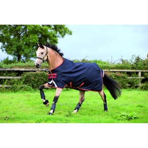 Navy/ Black & strong blue/black