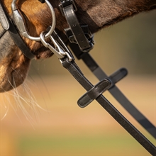 QHP tøjle med clips