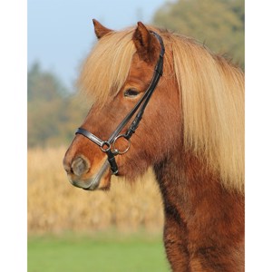 Islændertrense basic