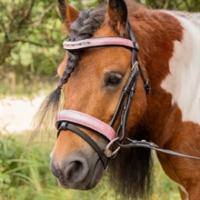 Harry's Horse Mini trense Diva Mauvewood