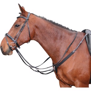 Harry's Horse fortøj med elastik og martingale