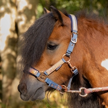 Harry's Horse Mini Grime Diva Mauvewood 