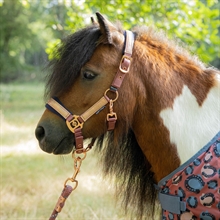 Harry's Horse Mini Grime Diva Mauvewood 