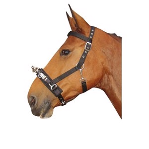 Harry's Horse Longerings kapsun 
