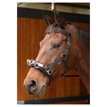 Harry's Horse Longerings kapsun 