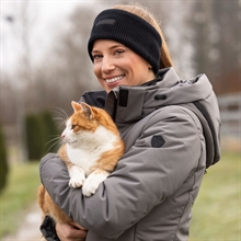 Covalliero Pandebånd