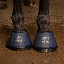 Harry's Horse vandklokker