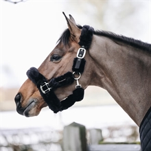 Kentucky grime med lammeskind