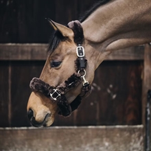 Kentucky grime med lammeskind