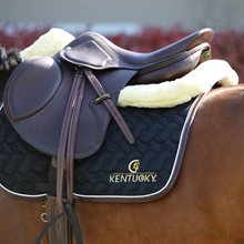 Kentucky Half Had Anatomic Absorb 