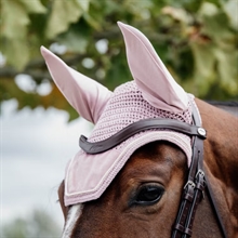 Kentucky hut Wellington Basic Velvet 