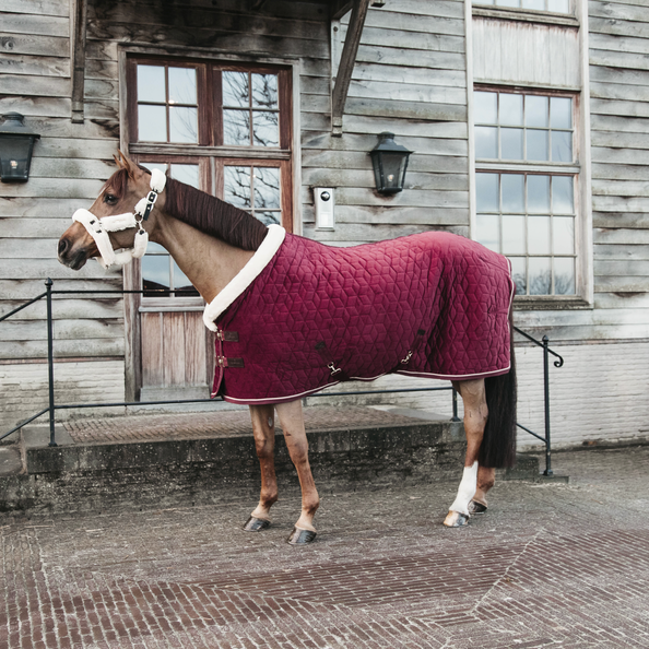 Kentucky Show rug dækken Velvet Bordeaux 