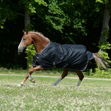 Bucas Trot Turnout 50 gram Travdækken 