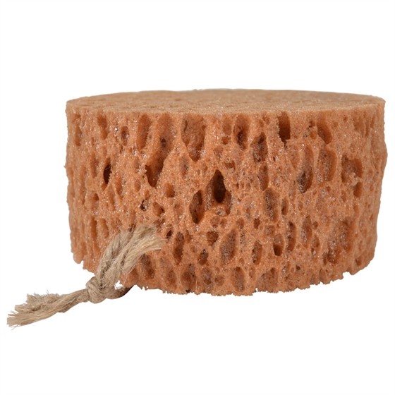 Borstiq Farm Groomingsvamp