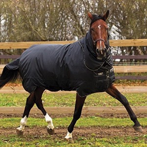 Horseware Trot Plus vinterdækken 350 gram