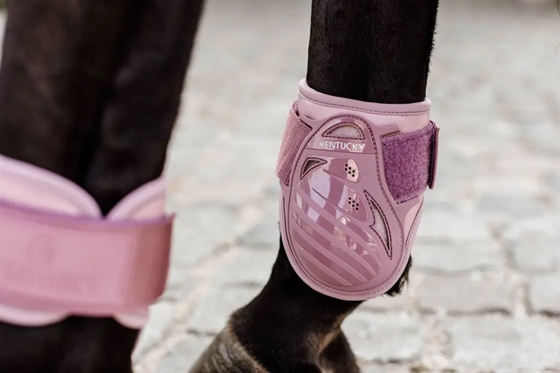 Kentucky bagbensgamacher Young Horse 