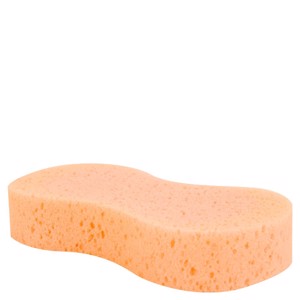 Svamp 