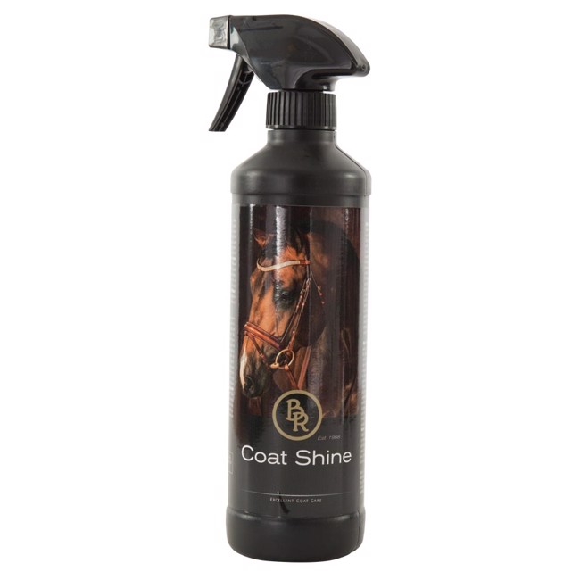 BR Coat Shine 500 ml