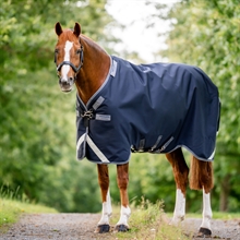 Horseware Rambo 1680D Turnout 250G Vari-Layer 