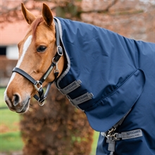 Navy/Titanium Grey & Silver