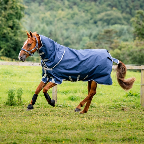 Horseware Amigo Bravo 12 Plus Bundle