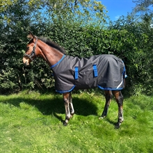 Horseware Amigo føldækken 900D 200 gram