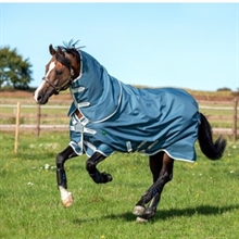 Horseware AmEco Bravo 12 Plus 100 gram overgangsdækken