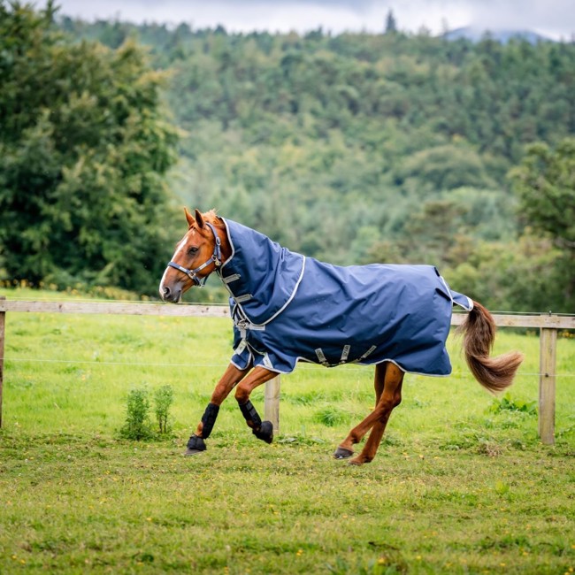 Horseware Amigo Bravo 12 Plus medium 250 gram