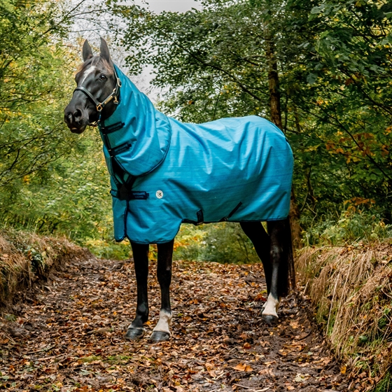 Horseware Amigo Hero 900 Revive Plus Medium 200 gram  