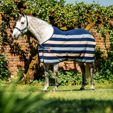 Witney Navy