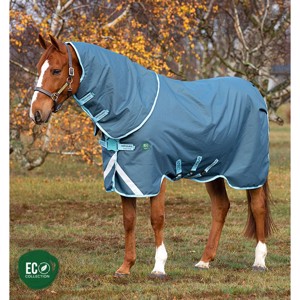 Horseware Ameco Bravo 12 plus medium 250 gram vinterdækken