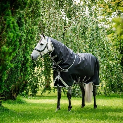 Horseware Amigo Bravo 12 Plus medium 250 gram 72