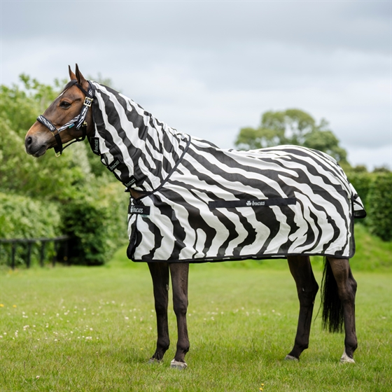 Bucas Buzz-Off Zebra & Neck insektdækken 