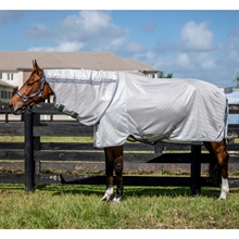 Silver/Titanium Grey & Silver