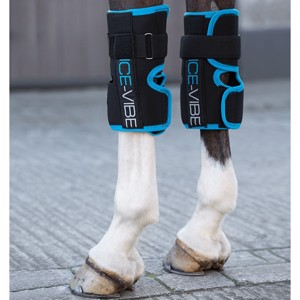Horseware Ice-Vibe Knee Wrap ny model