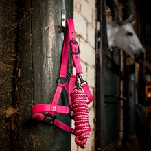 Witney Pink