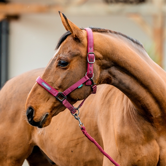 Horseware Amigo grimesæt 