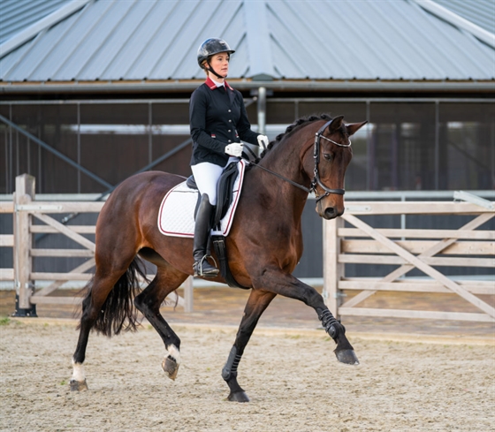 PRESTEQ AmbitionFirst ridebukser fuldgrip 