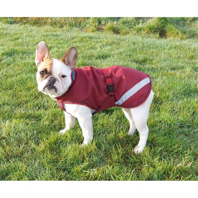 Bucas Freedom Dog Rug hundedækken 50 gram