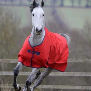 Bucas Freedom vinterdækken 300 gram pony