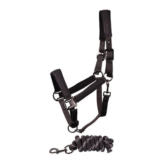 Harry\'s Horse Grimesæt Denici Cavalli Shadow
